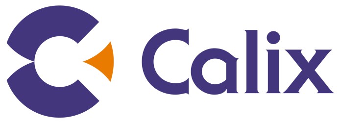 Calix logo (694 x 251)